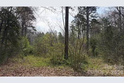 3245 Lark Drive, Denton, NC 27239 - Photo 5
