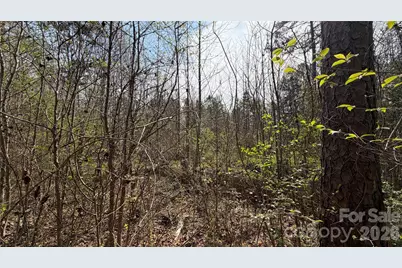 3245 Lark Drive, Denton, NC 27239 - Photo 9