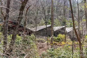 33 Robinson Creek Rd, Asheville, NC 28803 - Photo 47