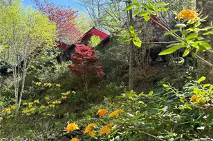 33 Robinson Creek Rd, Asheville, NC 28803 - Photo 1