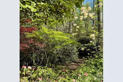 33 Robinson Creek Road, Asheville, NC 28803 - Photo 33