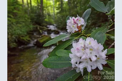 33 Robinson Creek Road, Asheville, NC 28803 - Photo 21