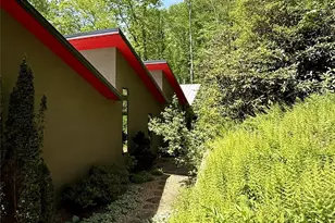 33 Robinson Creek Rd, Asheville, NC 28803 - Photo 7