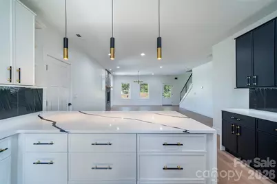 253 Eagles Eye Drive, Hendersonville, NC 28792 - Photo 9