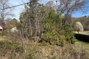 00 Great Falls Hwy, Great Falls, SC 29055 - Photo 1