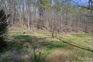 00 Elk Shoals Creek Rd, Burnsville, NC 28714 - Photo 21