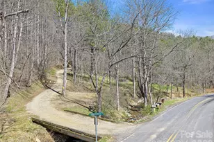 00 Elk Shoals Creek Rd, Burnsville, NC 28714 - Photo 5