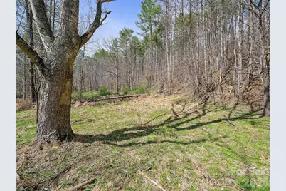 00 Elk Shoals Creek Road, Burnsville, NC 28714 - Photo 17