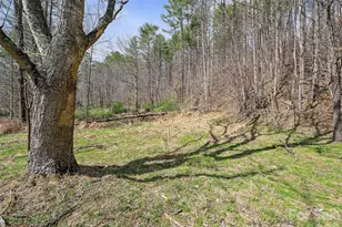 00 Elk Shoals Creek Rd, Burnsville, NC 28714 - Photo 17