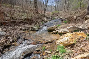 00 Elk Shoals Creek Rd, Burnsville, NC 28714 - Photo 25