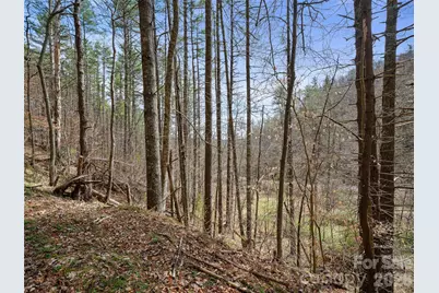 00 Elk Shoals Creek Road, Burnsville, NC 28714 - Photo 31