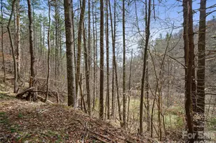 00 Elk Shoals Creek Rd, Burnsville, NC 28714 - Photo 31