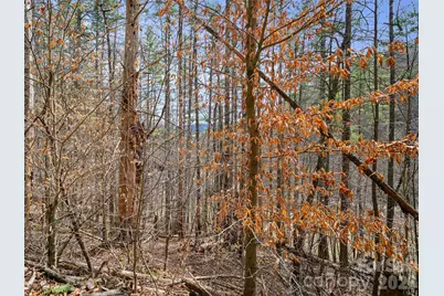 00 Elk Shoals Creek Road, Burnsville, NC 28714 - Photo 33