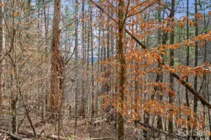 00 Elk Shoals Creek Rd, Burnsville, NC 28714 - Photo 33