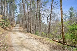 00 Elk Shoals Creek Rd, Burnsville, NC 28714 - Photo 29