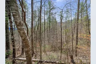 00 Elk Shoals Creek Road, Burnsville, NC 28714 - Photo 35