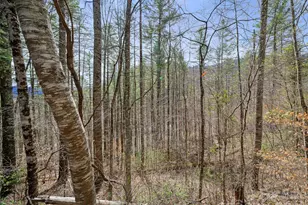 00 Elk Shoals Creek Rd, Burnsville, NC 28714 - Photo 35