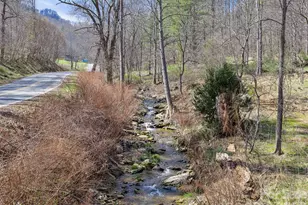 00 Elk Shoals Creek Rd, Burnsville, NC 28714 - Photo 7