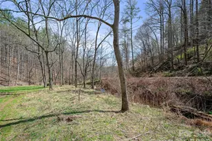 00 Elk Shoals Creek Rd, Burnsville, NC 28714 - Photo 23