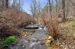 00 Elk Shoals Creek Rd, Burnsville, NC 28714 - Photo 3