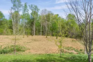 4846 Looking Glass Trail, Denver, NC 28037 - Photo 3
