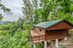 307 Blue Ridge Pkwy, Bryson City, NC 28713 - Photo 7