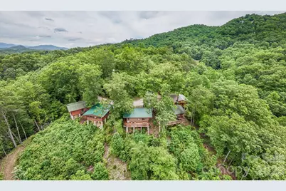 307 Blue Ridge Parkway, Bryson City, NC 28713 - Photo 9