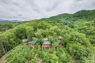 307 Blue Ridge Pkwy, Bryson City, NC 28713 - Photo 9