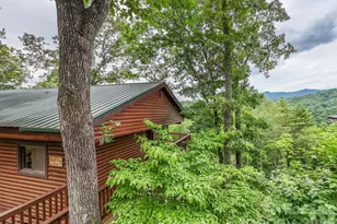 307 Blue Ridge Pkwy, Bryson City, NC 28713 - Photo 15