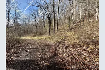 00 Queen Cove Road, Waynesville, NC 28785 - Photo 7