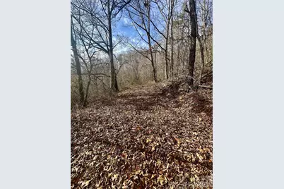 00 Queen Cove Road, Waynesville, NC 28785 - Photo 17