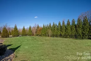 6016 Tea Olive Rd, Waxhaw, NC 28173 - Photo 45