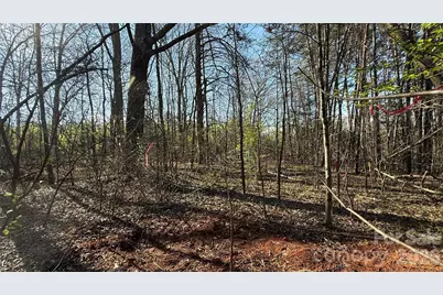 1361 Zeb Haynes Road #1, Maiden, NC 28650 - Photo 3