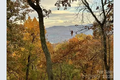 415 Treetop Lane, Waynesville, NC 28785 - Photo 39