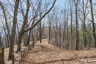 415 Treetop Ln, Waynesville, NC 28785 - Photo 35