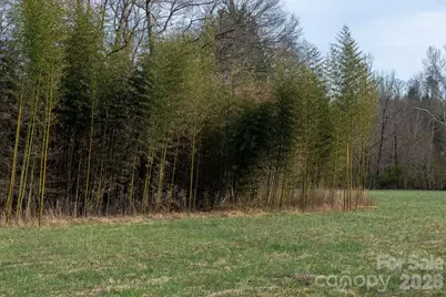 343 Hoyles Creek Road, Dallas, NC 28034 - Photo 23