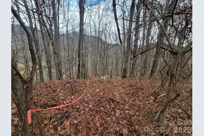 820 Chestnut Flats Lane #4, Waynesville, NC 28786 - Photo 13