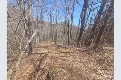 820 Chestnut Flats Lane #4, Waynesville, NC 28786 - Photo 3