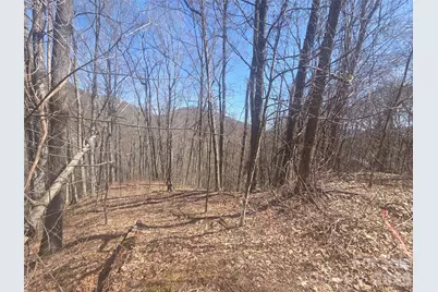 820 Chestnut Flats Lane #4, Waynesville, NC 28786 - Photo 5