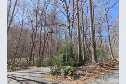 820 Chestnut Flats Lane #4, Waynesville, NC 28786 - Photo 3