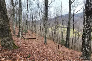 820 Chestnut Flats Ln, Waynesville, NC 28786 - Photo 1
