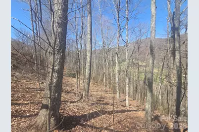 820 Chestnut Flats Lane #4, Waynesville, NC 28786 - Photo 19