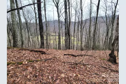 820 Chestnut Flats Lane #4, Waynesville, NC 28786 - Photo 15