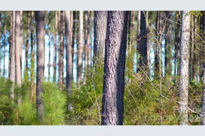 00 Bobby Faucette Road #2, Jonesville, SC 29353 - Photo 11
