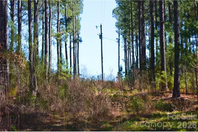 00 Bobby Faucette Road #3, Jonesville, SC 29353 - Photo 13