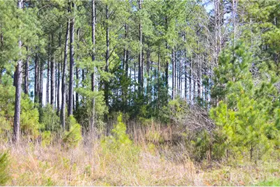 00 Bobby Faucette Road #3, Jonesville, SC 29353 - Photo 9