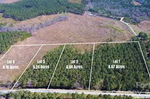 00 Bobby Faucette Rd, Jonesville, SC 29353 - Photo 1