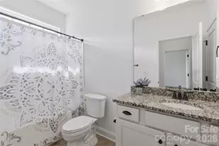1241 Horse Sugar Rd, Clover, SC 29710 - Photo 21