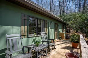 31 Elseetos Dr, Brevard, NC 28712 - Photo 29