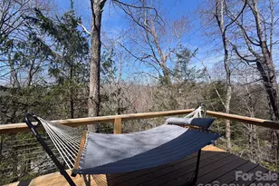 31 Elseetos Dr, Brevard, NC 28712 - Photo 23